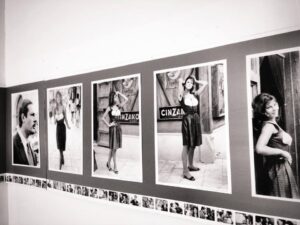 La mostra