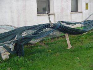 La statua dell’atleta