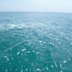 Schiuma nel mare di Sampieri