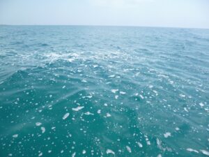 Schiuma nel mare di Sampieri