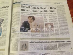 Il paginone