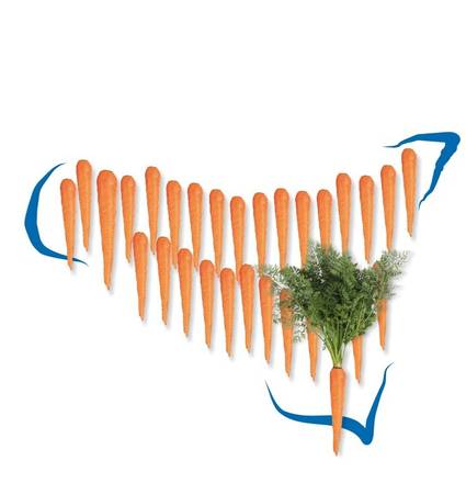 La carota novella ispicese raddoppia il fatturato