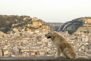L’affaccio di Italo su Scicli nello scatto di Valeria Simola
