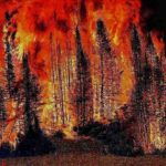 Bosco in fiamme