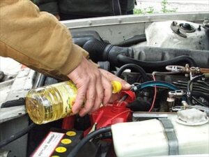 Auto a colza