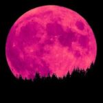 Luna rosa