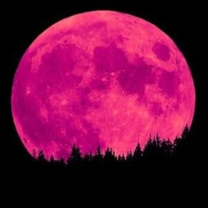Luna rosa