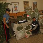 La droga sequestrata