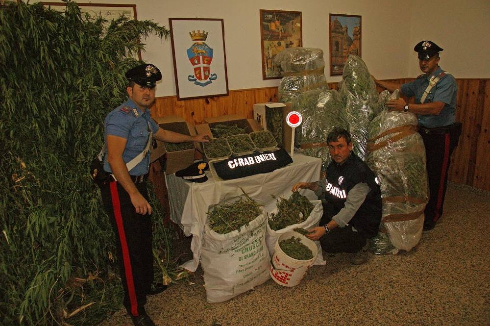 Pachino: rinvenuti 240 Kg. di marijuana