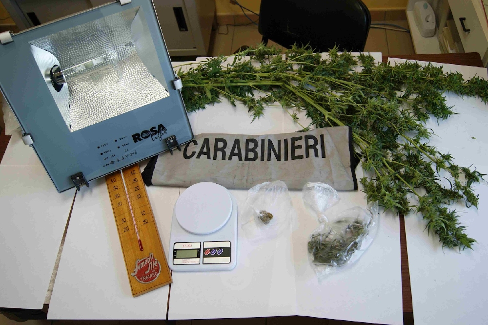La marijuana fatta in casa, a Comiso