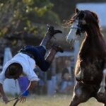 Disarcionato dal cavallo