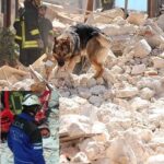 cane da soccorso