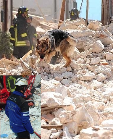 cane da soccorso