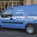 I controlli
