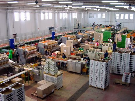 L’azienda Piombo in crisi. A rischio duecento lavoratori