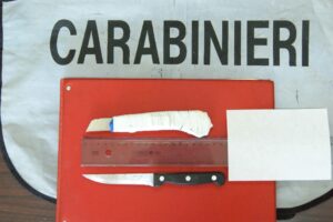 Il coltello