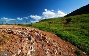 Il sito di Terravecchia