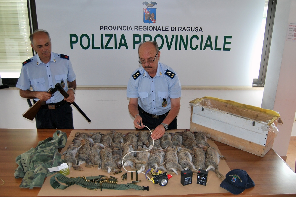 La strage di conigli ad Acate