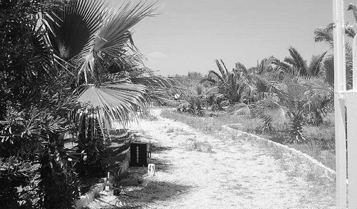 Autopsia sul corpo del polacco ucciso a Ispica