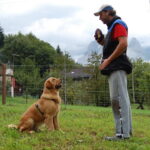 Educare il cane