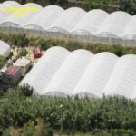 Scoperte dalla Finanza