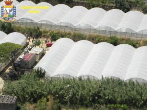 Scoperte dalla Finanza