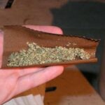 Hashish