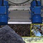 Scarti lavorazione olive