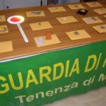 La droga sequestrata