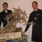 Mostra del Bonsai a Vittoria
