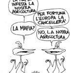Arance del Marocco