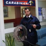 Furto di energia elettrica