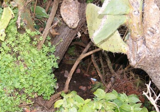 Acate, droga, arrestato Fernando D’Amanti