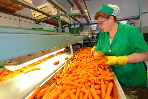 Ispica, azienda Colledoro al collasso. Cento operai a riposo forzato