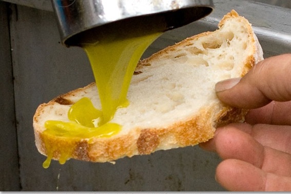 Bene l’olio ibleo al Premio nazionale Montiferru