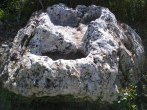Un Torcularium