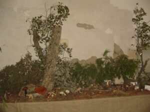 La mostra micologica a Ragusa