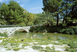 Sviluppo sostenibile della biodiversità paesaggistica, a Giarratana