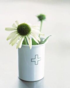 Sanità malata