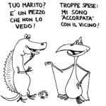 Scuola dimensionata