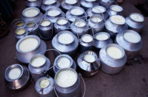 Latte invenduto