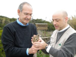 Mallia-Insacco