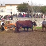 Fattoria didattica Bracchitta