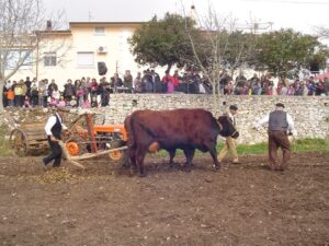 Fattoria didattica Bracchitta