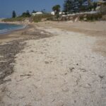 Spiaggia, Caucana, Casuzze