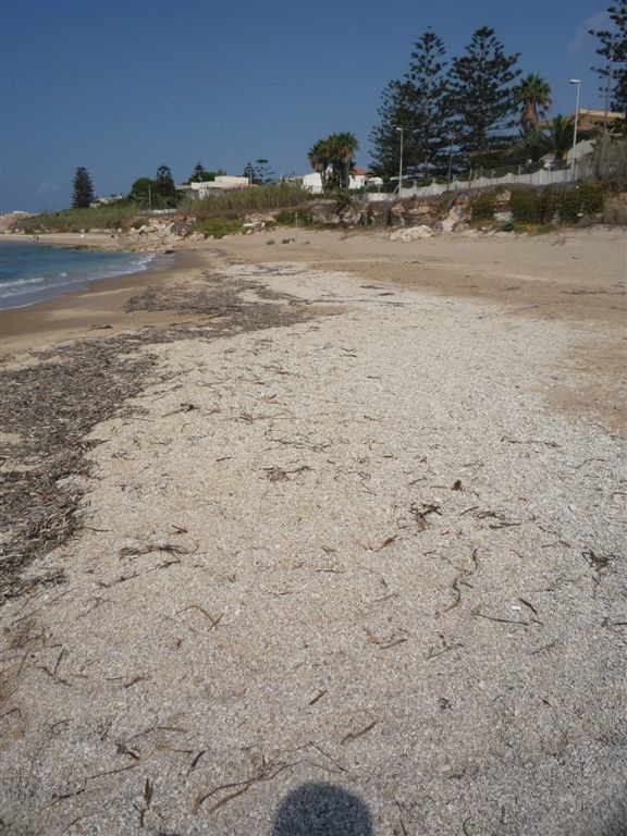 Lo scandalo della spiaggia Caucana Casuzze