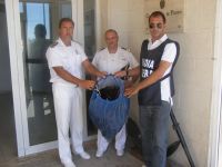 Cirica, multati pescatori di frodo per aver pescato 150 ricci di mare