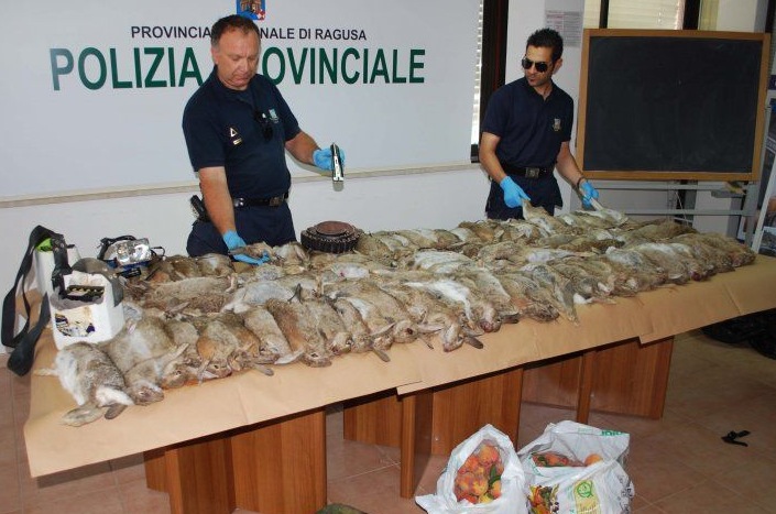 Arrestati tre bracconieri, hanno sparato a 91 conigli