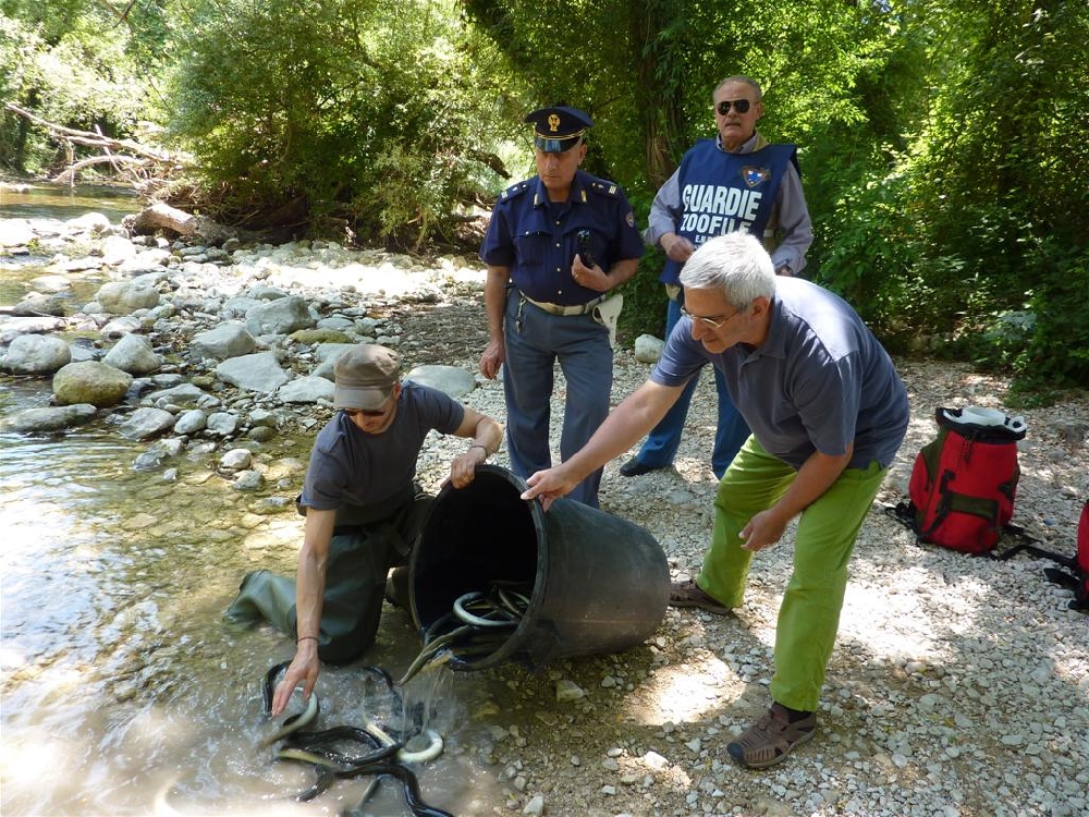 Chiaramonte, multe salate per tre pescatori di frodo beccati sull’Irminio