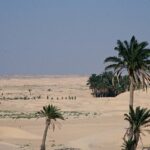 Il deserto di Tozeur